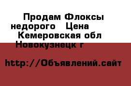 Продам Флоксы недорого › Цена ­ 200 - Кемеровская обл., Новокузнецк г.  »    